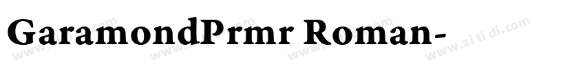 GaramondPrmr Roman字体转换
